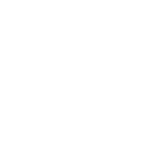 menu item icon